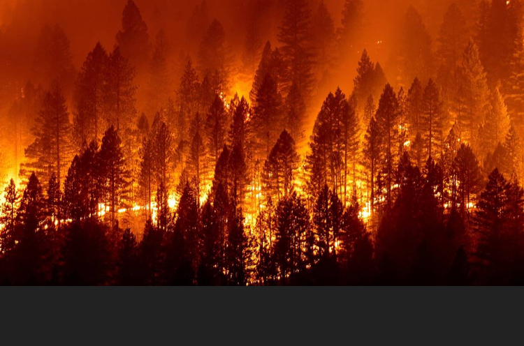 Fire Safety During Emergencies: Use Fire Wisely and Cautiously